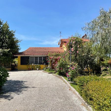 Home Sweet Home Gallicano nel Lazio ภายนอก รูปภาพ