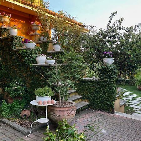 Home Sweet Home Gallicano nel Lazio ภายนอก รูปภาพ