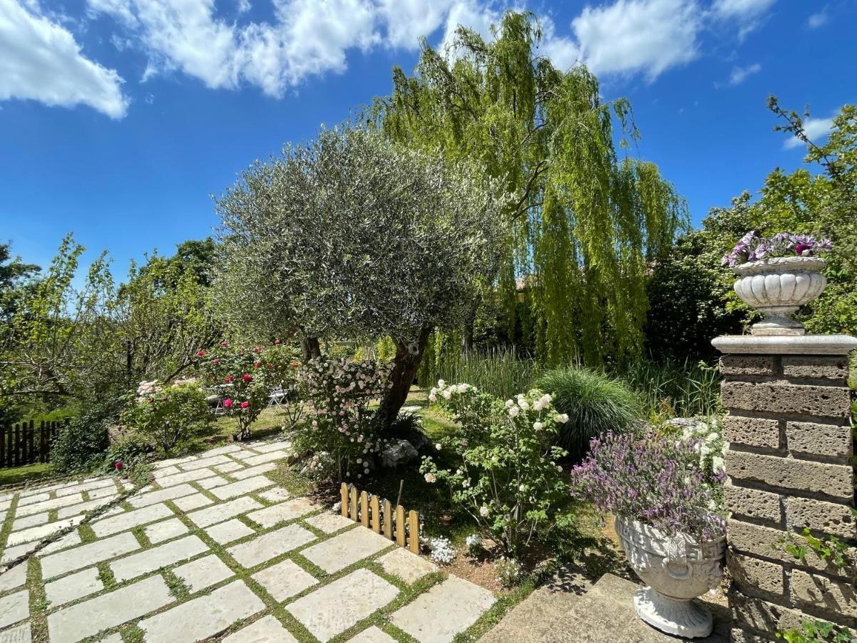 Home Sweet Home Gallicano nel Lazio ภายนอก รูปภาพ