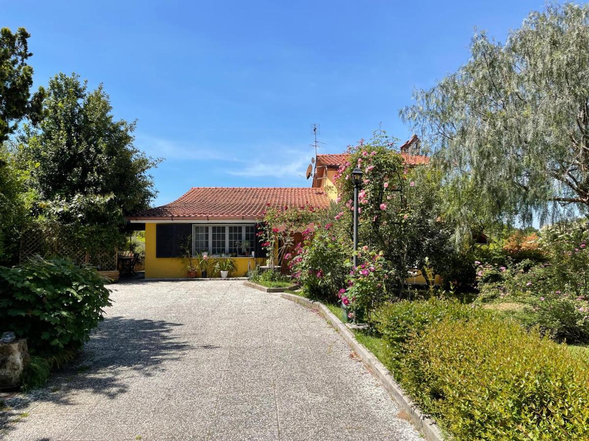 Home Sweet Home Gallicano nel Lazio ภายนอก รูปภาพ