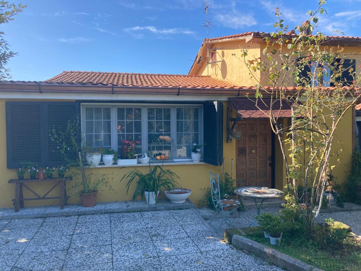 Home Sweet Home Gallicano nel Lazio ภายนอก รูปภาพ