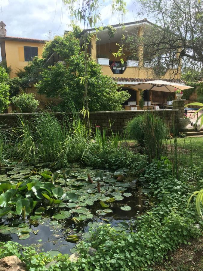 Home Sweet Home Gallicano nel Lazio ภายนอก รูปภาพ