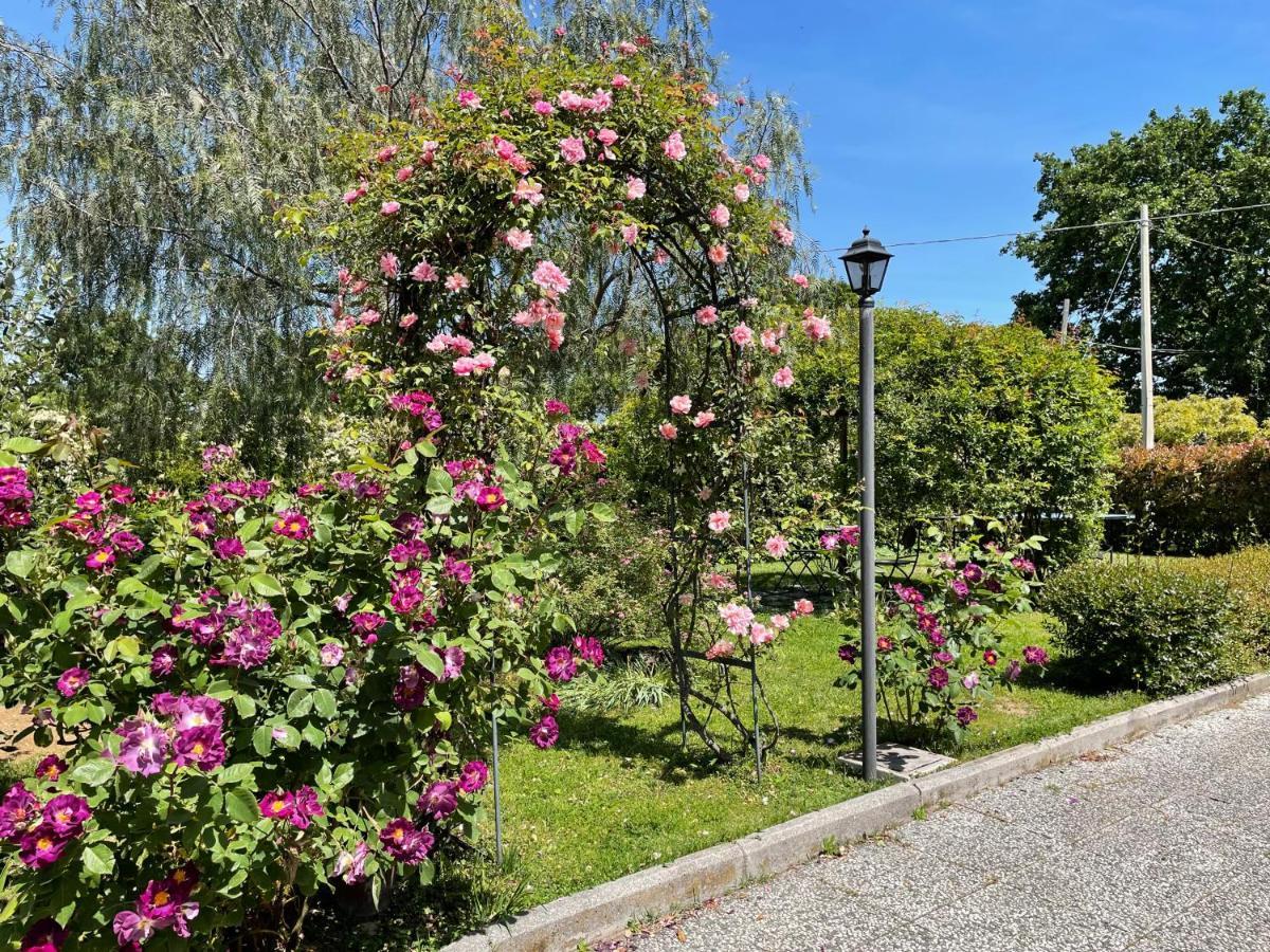 Home Sweet Home Gallicano nel Lazio ภายนอก รูปภาพ